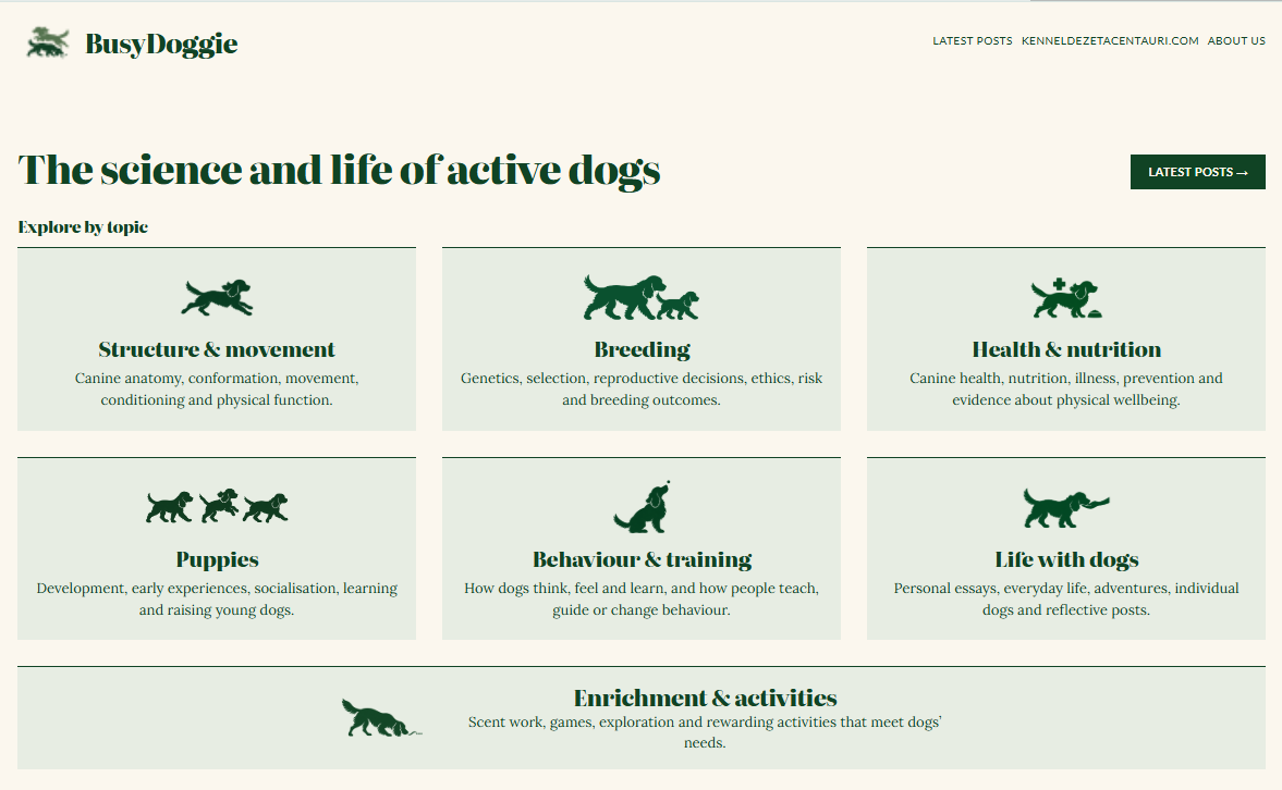 BusyDoggie website homepage