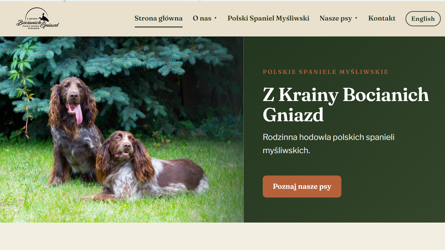 Z Krainy Bocianich Gniazd website homepage